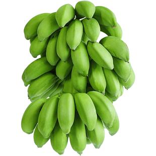 整串办公室水培禁止蕉绿香蕉静止桌面绿植新鲜水果小米芭蕉苹果蕉