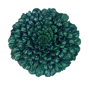 冬天乌塌菜种子子黄心乌秋冬季可种植乌塔籽种蔬菜种籽孑菜籽菜种