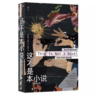 新书速发 这不是本小说 及其他小说 戴维马克森最后的小说 非传统叙事 后现代主义实验文学书籍 后浪官方正版现货