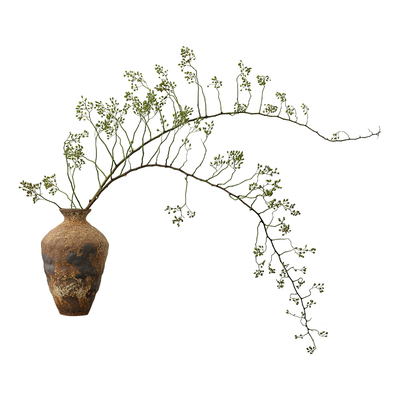 山归来鲜切侘寂风干花花束干树枝