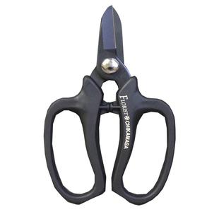 日本进口近正大嘴鸟9000B 8000剪刀花剪铁丝剪二合一插花鲜花枝剪