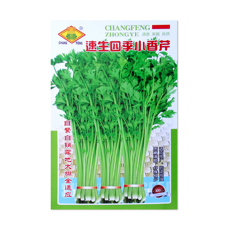常丰速生四季小香芹种子
