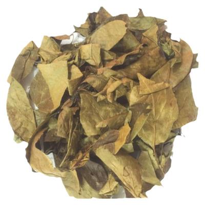 三皮罐茶叶宜昌凝清茶叶巫山神茶