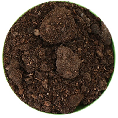 通用型有机肥绿色种菜改良土壤