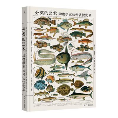 分类的艺术大卫班布里奇著