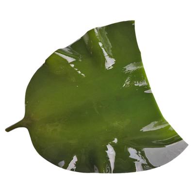 新鲜盐渍海带头昆布头厚海带