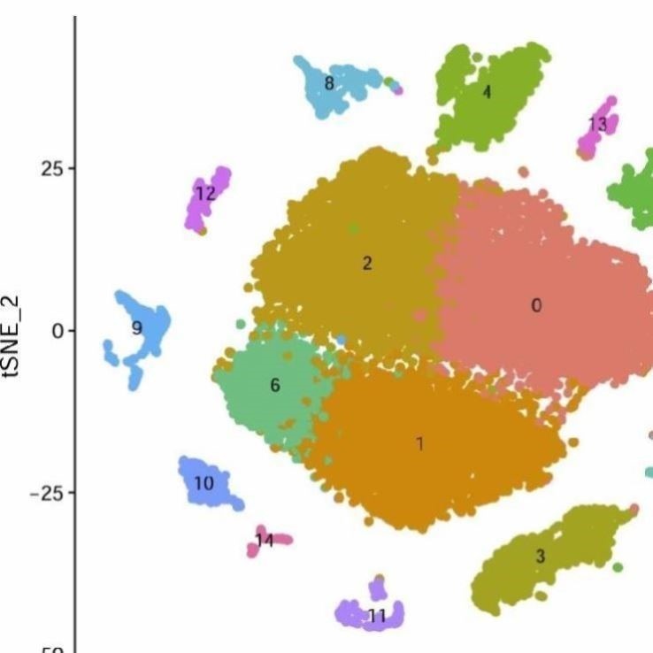 生信分析TCGA GEO GWAS数据库挖掘孟德尔随机化转录组分析