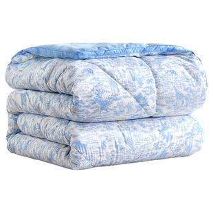 【李佳琦年货全品类现货】梦洁宝贝A类大豆被被芯可水洗抗菌厚被