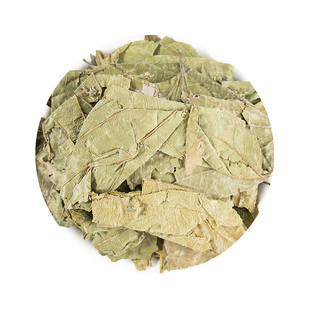 布渣叶500g包邮布渣叶草破布叶麻布叶烂布渣 薢宝叶广东凉茶原材