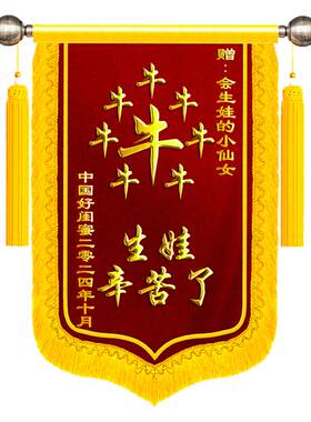 生娃锦旗顺丰包邮支持定制