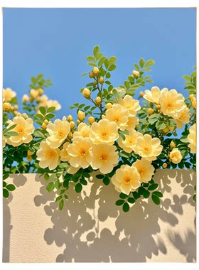 春天鲜花数字油画成人减压涂色