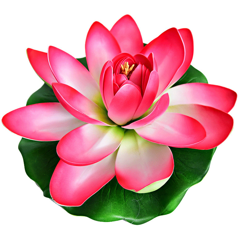 仿真荷花荷叶假花莲花池塘水上漂浮睡莲植物塑料花水池装饰花造景