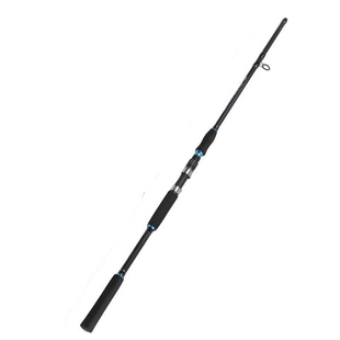 武道魂雷强竿套装碳素黑鱼竿枪直柄xXH甩杆远投海钓抛路亚竿双稍
