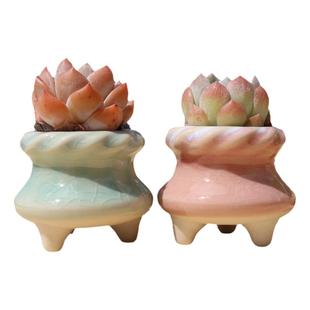 多肉花盆陶瓷透气简约创意个性控型冰裂彩虹迷你小盆流釉特价清仓