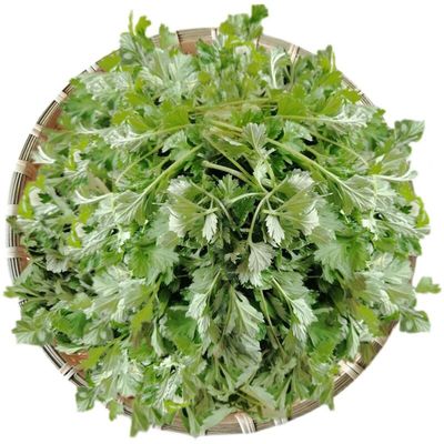 艾叶新鲜食用现摘嫩叶山东特产清明草野菜中药材药用艾草5斤包邮