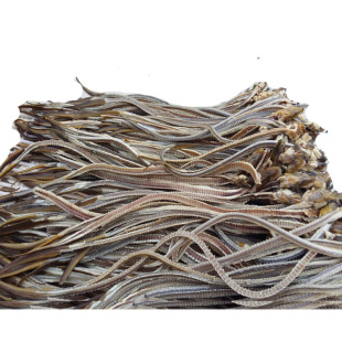 3斤包邮新鲜黄鳝骨长鱼骨鳝鱼骨头现拉骨头白骨头无盐500g可煲汤