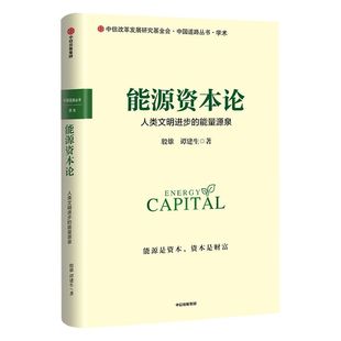 能源资本论 人类文明进步的力量源泉 殷雄 著 能源消费 能源供给 能源技术 能源体制 能源经济学 中信出版社图书 正版书籍