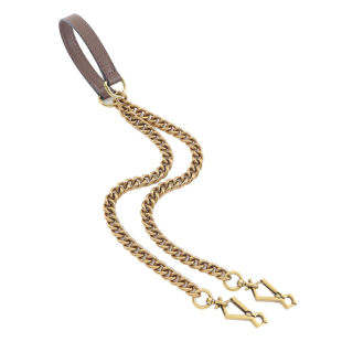 适用gucci虎头相机包肩带配件包包链条单买腋下斜挎改造替换包链