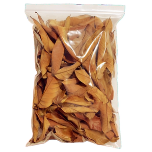 南美缸造景沉木乌龟专用龙眼叶养龟乌龟躲避屋斗鱼床水草鱼缸摆件