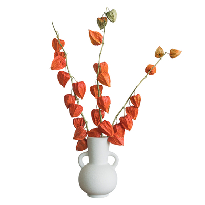 秋色天然干花喜庆红果子插花装饰