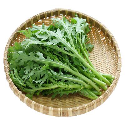 小叶茼蒿种子皇帝菜种籽光杆蔬菜多次采收庭院阳台四季高产包邮