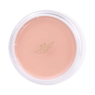 日本三善遮瑕膏21p25p 填充遮泪沟提亮遮黑眼圈痘印medium现货