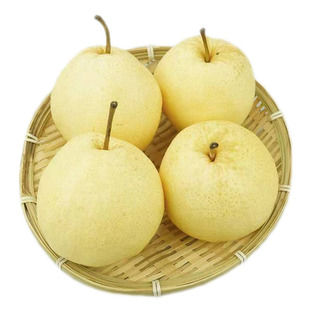 正宗陕西蒲城酥梨苹果梨子新鲜大荔红香酥梨子砀山梨酥梨