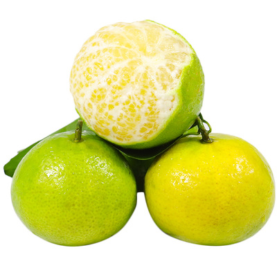 正宗武鸣皇帝柑新鲜果园现摘橘子水果黄帝柑桔子当季整箱8斤包邮