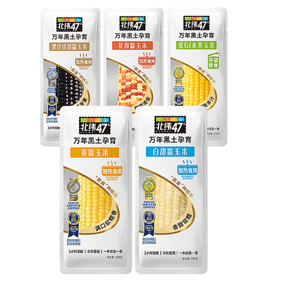 北纬47度黄白糯玉米非转基因新鲜