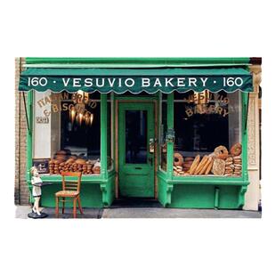 预售 Store Front Nyc: Photographs Of The CityS Independent Shops Past And Present纽约市店面:独立商店的过去和现在