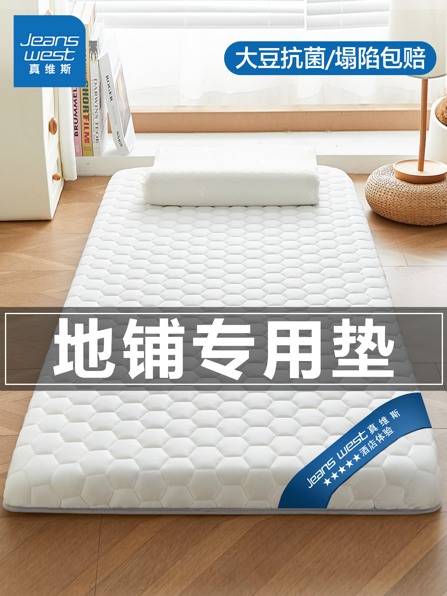 地铺睡垫榻榻米垫子家用床垫软垫防潮地上睡觉租房专用垫学生宿舍