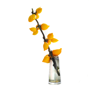 五代同堂黄金果鲜切枝水培植物年宵花插花客厅水养招财鲜花喜庆