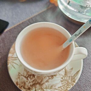 阿友家的正宗纯藕粉国标GB/T25733江西特产绿色食品营养代餐