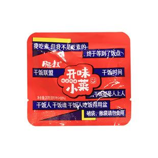 萝卜豆角榨菜开味小菜大全咸菜下饭菜佐菜夹馍拌面配饭佐粥肥叔