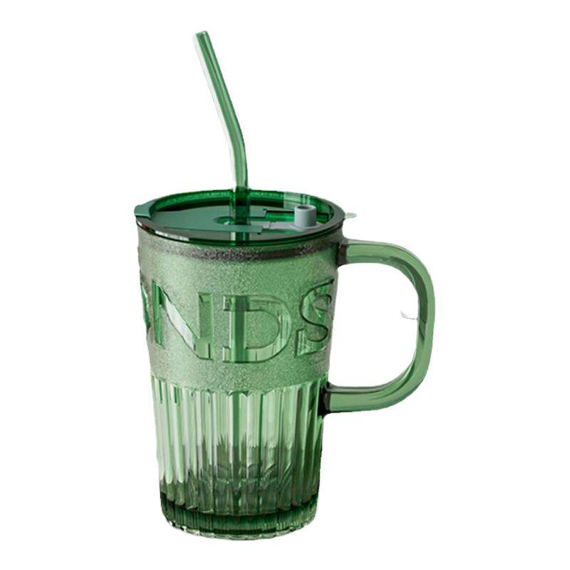 北欧风高颜值吸管杯带把玻璃水杯女大容量ins风咖啡杯饮料奶茶杯