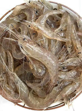 鲜活速冻小河虾整箱年货