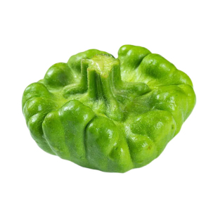 云南特色姜柄瓜种子七月瓜种爬藤丫丫瓜种子小南瓜阳台专用蔬菜种