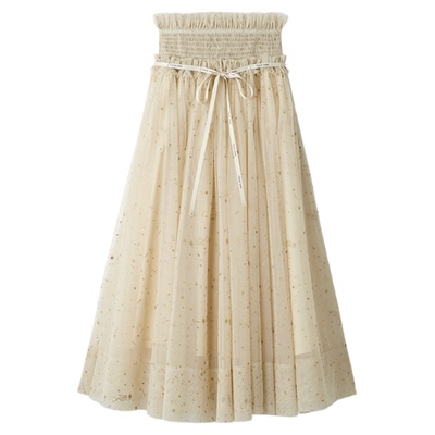 SNIDEL2025秋冬新品Chacott联名芭蕾风薄纱A字半身裙SWFS254008