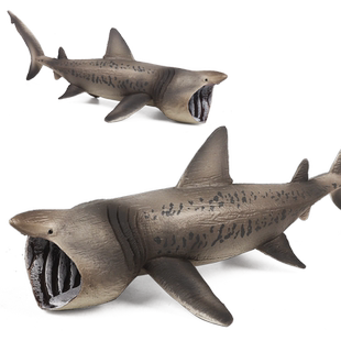 仿真海洋动物模型大白鲨变异三头巨齿鲨锤头鲨海豚龟鲸鱼水母乌龟