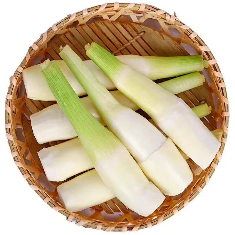 农家无添加茭白新鲜特价批发