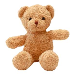 可穿脱的衣服棉花布娃娃替换服装玩偶泰迪小熊30厘米毛绒玩具公仔