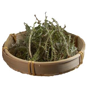 野生鹿角菜甘肃特产天然龙须菜青海甘南鹿角菜非石花菜凉拌菜100g