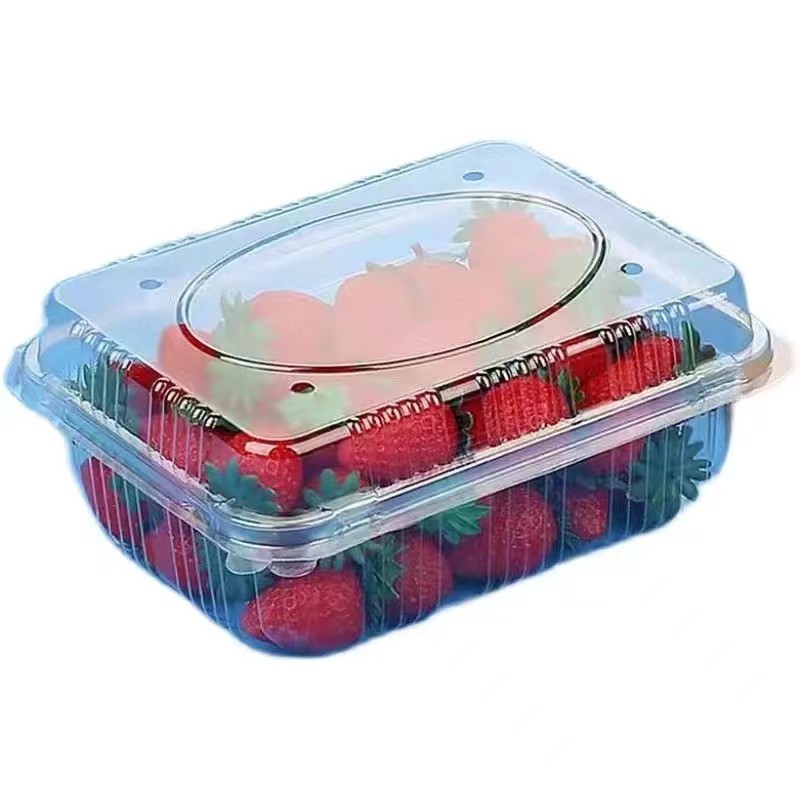 一次性水果盒子带盖透明食品果蔬水果包装