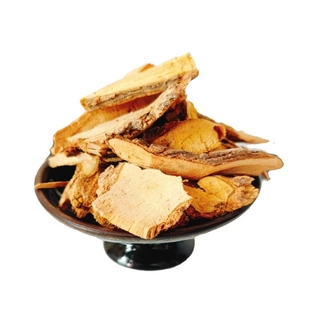 四川野外原生十大功劳叶土刺黄连根黄柏老鼠刺草药中药材新货无硫