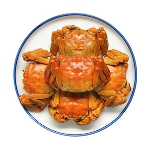 现货鲜活兴化螃蟹兴化红膏大闸蟹兴化大闸蟹公4.5两母3.5两礼盒
