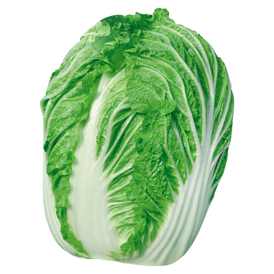 真好吃大白菜种子种籽