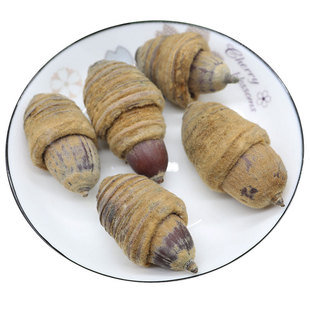 狗鞭果广西野生风流果猪仔粒男人泡酒料中药材干货毛毛大果锁阳果