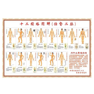 人体十二经络穴位图解任督二脉挂图中医养生保健穴位挂图海报写真