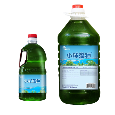 小球藻浓缩复合增氧水产养殖