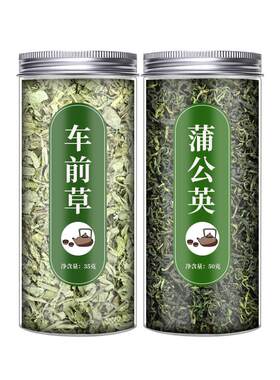野生500g新鲜正品中药材车前草